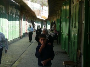 “What Compels You to Do That?”: Teaching English As Activism in Hebron